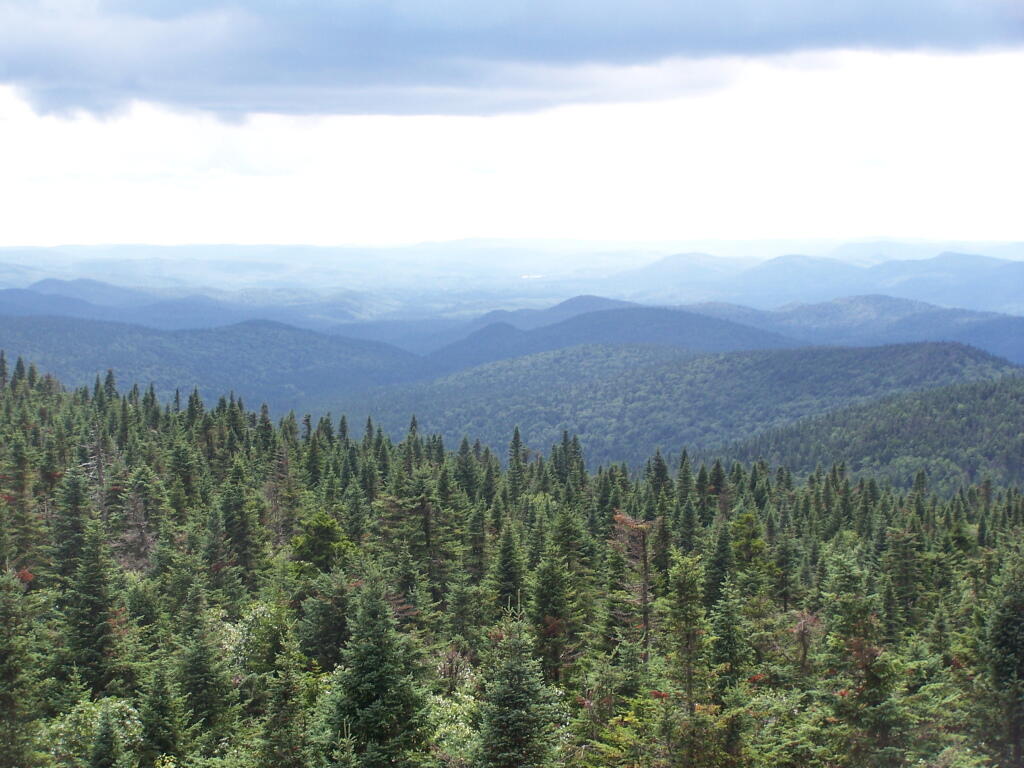Photo: Towards Indian Lake Photo: Towards Indian Lake