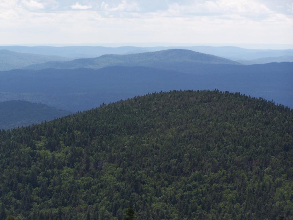 Photo: Cellar Mountain Photo: Cellar Mountain