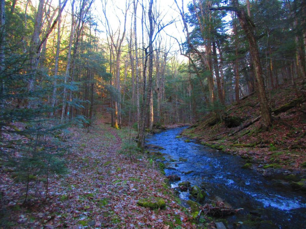 Photo: Cole Brook Photo: Cole Brook