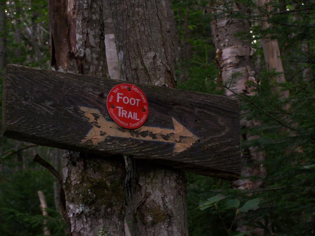 Photo: Trail Turns