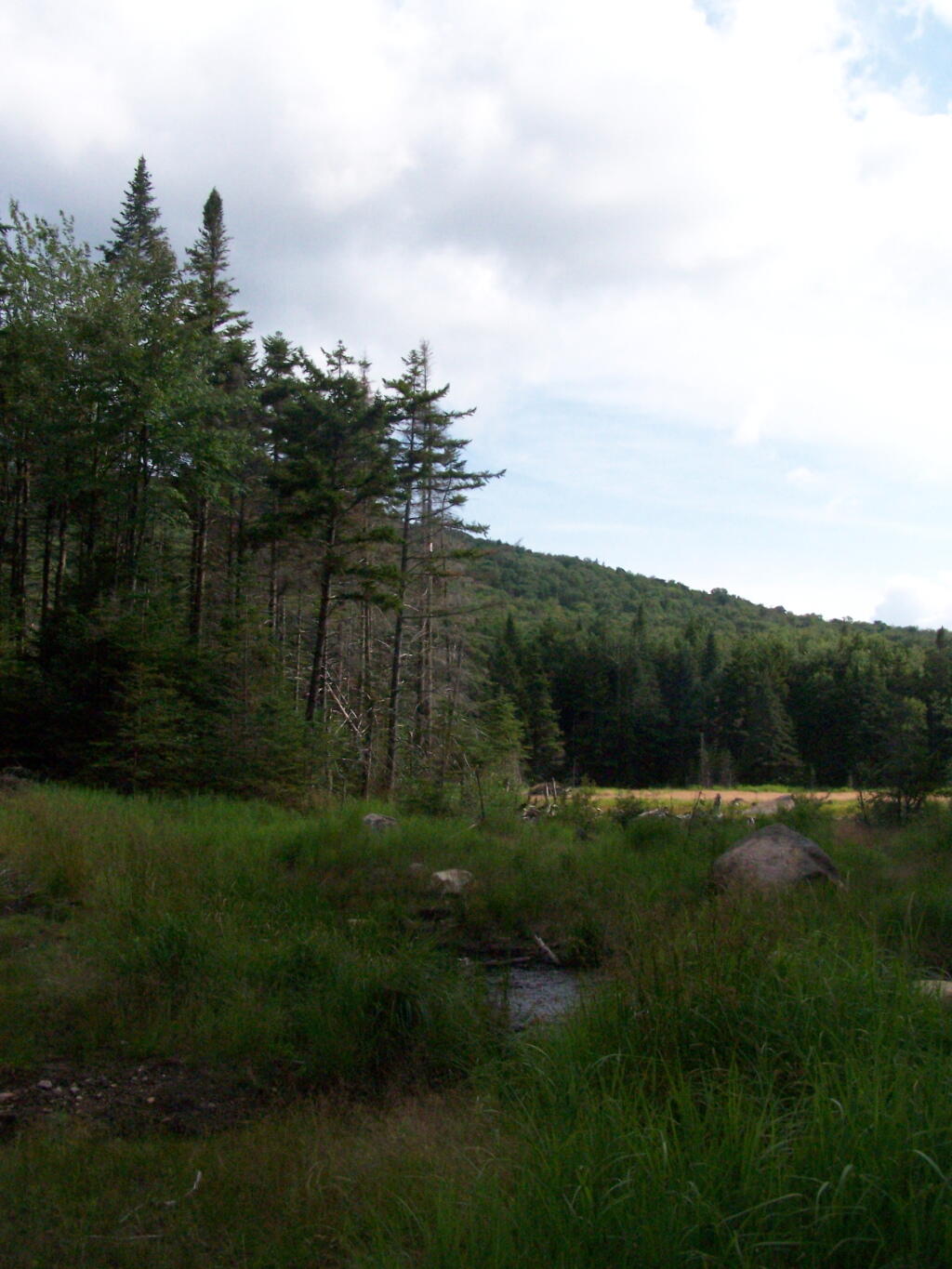 Photo: Swamp At Bottom of Wakely