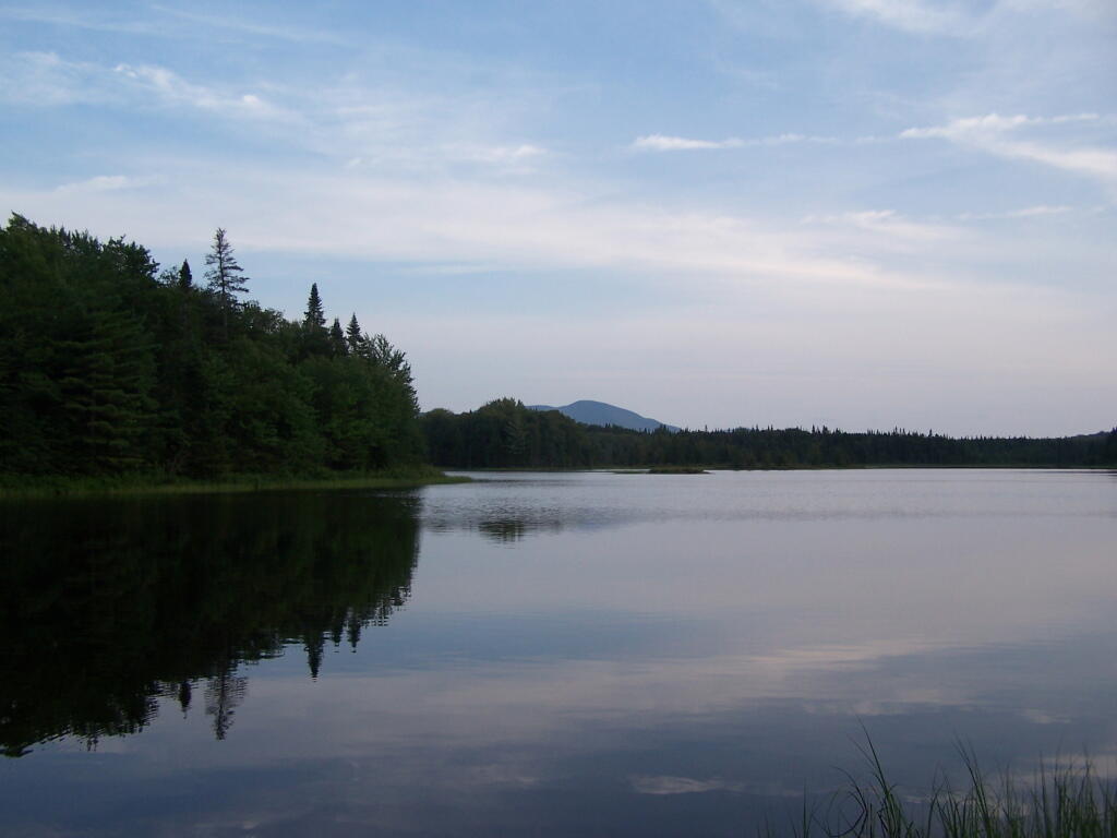 Photo: Cedar River Flow in Evening