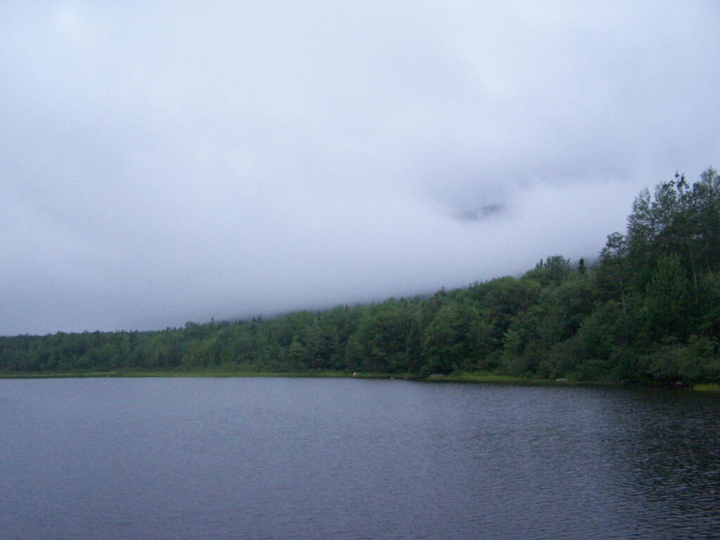 Photo: Cedar River Flow Clearing