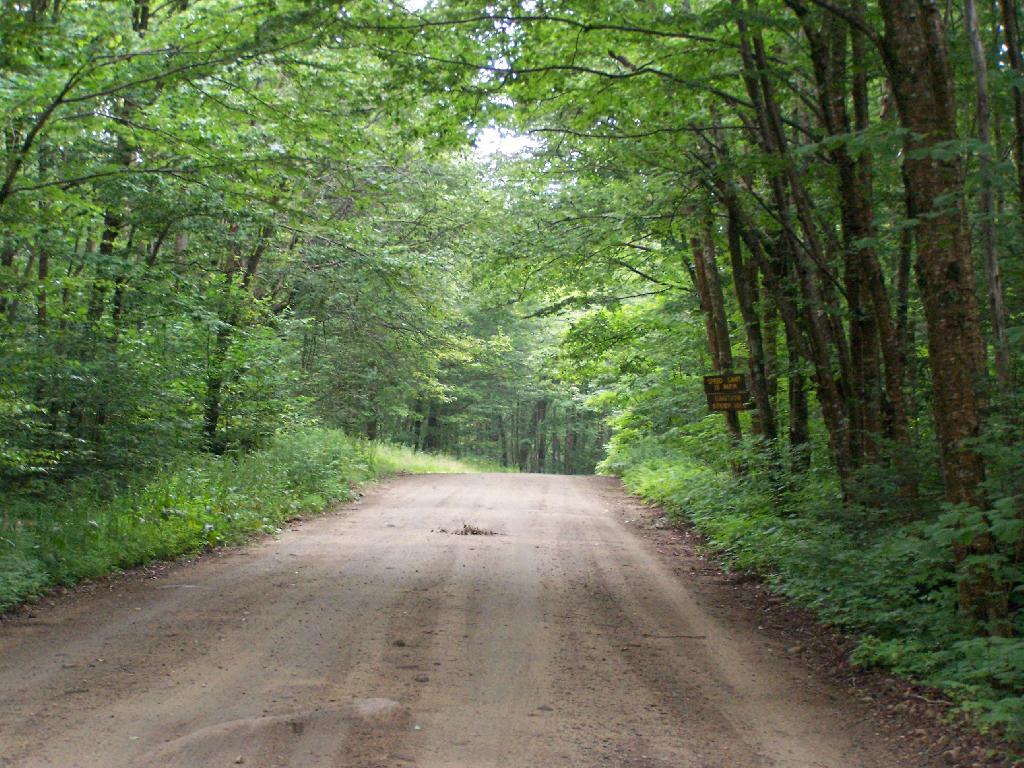 Photo: Moose Plains Road