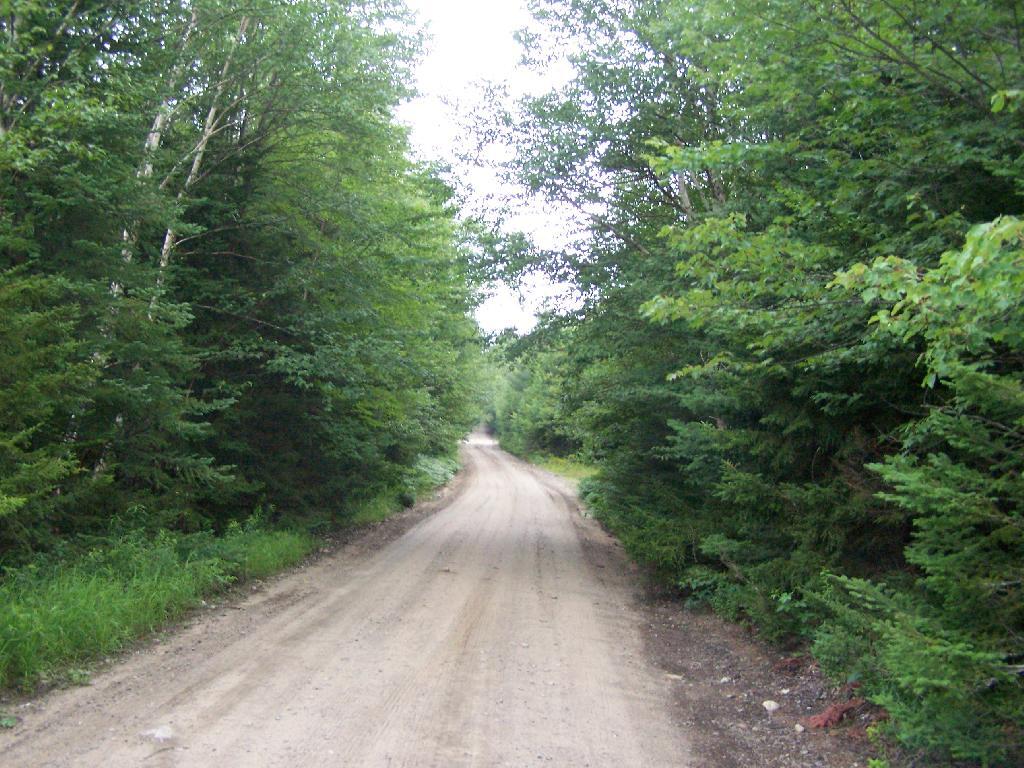 Photo: Plains Road