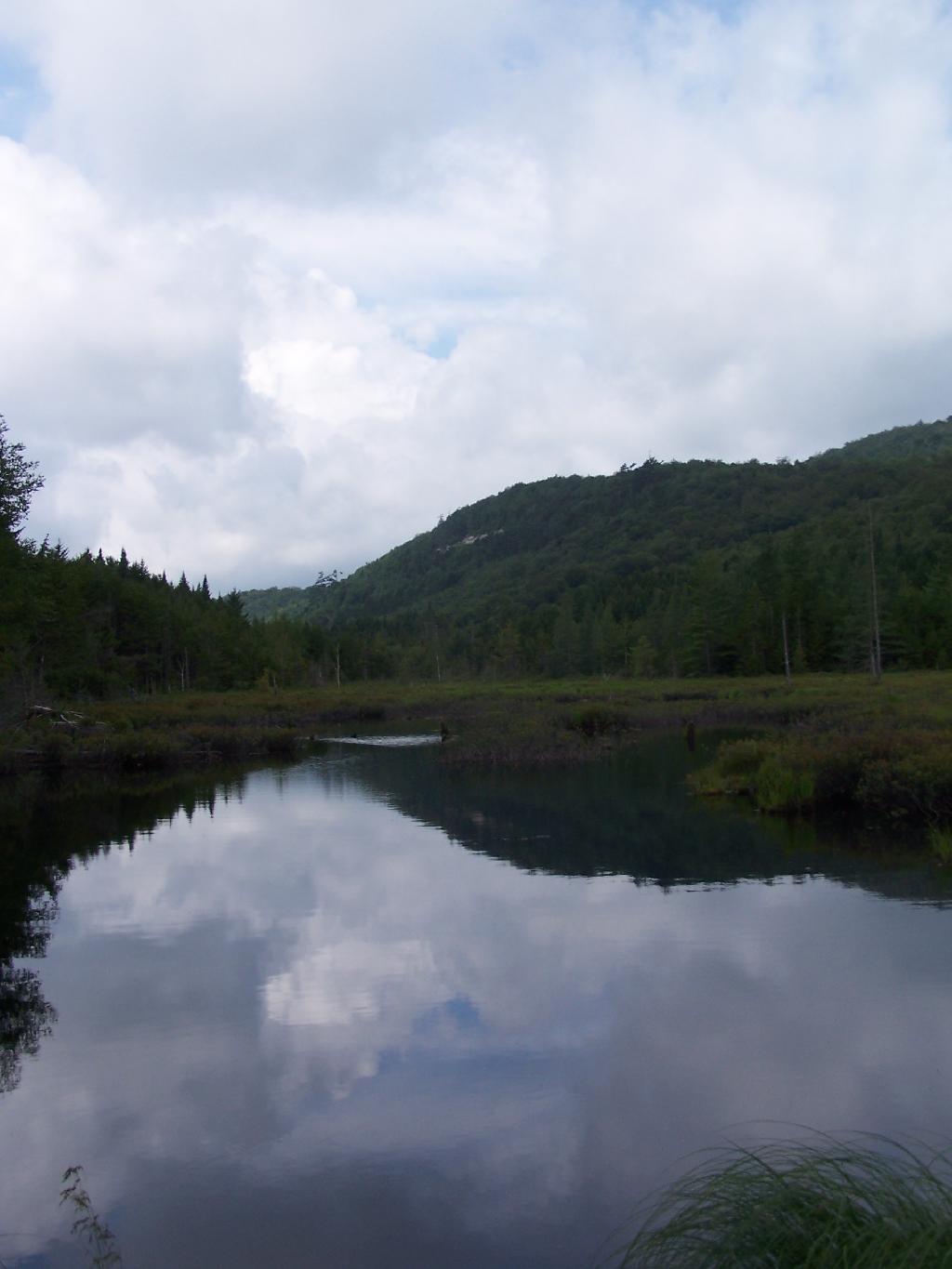 Photo: Swamp That Feeds Into Silver Run