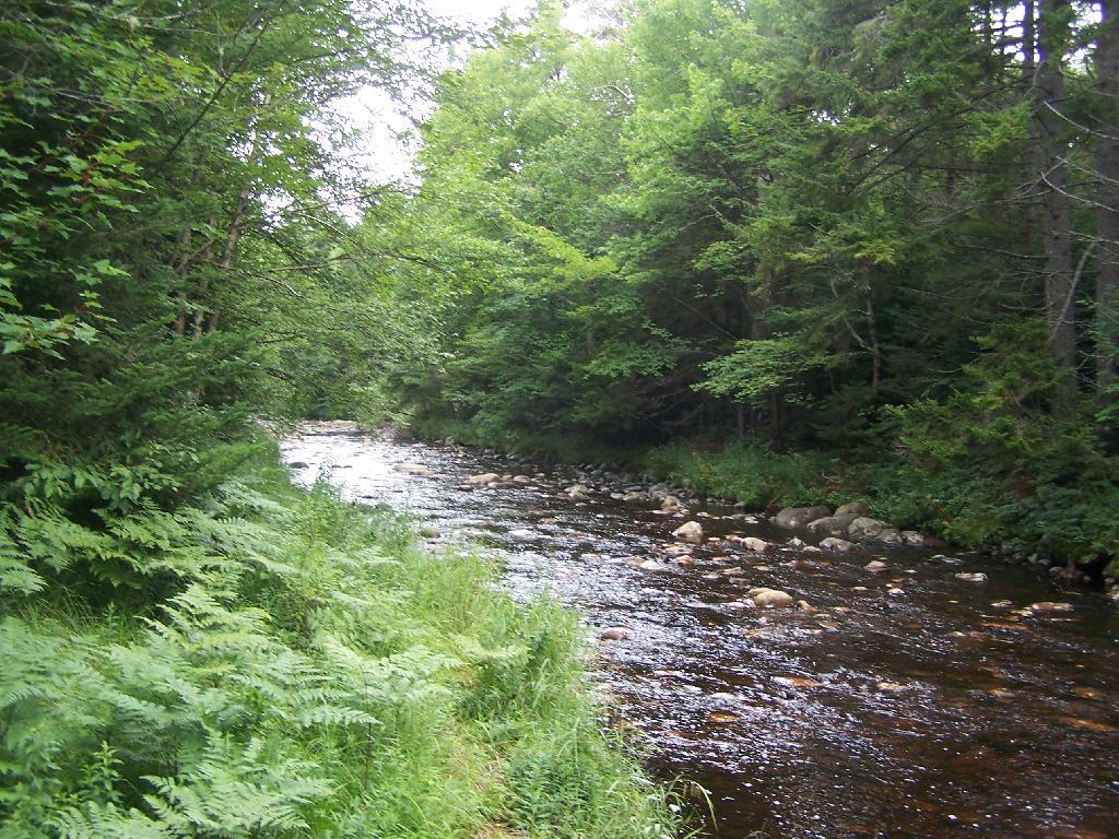 Photo: Silver Run