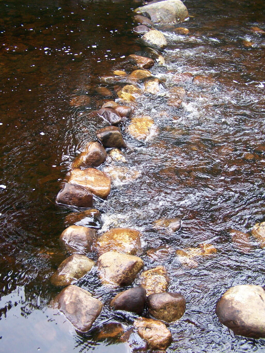 Photo: Trout Dam