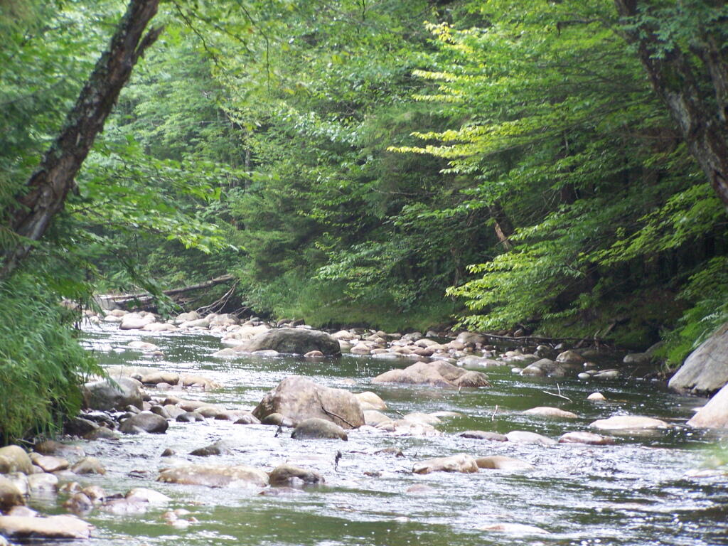 Photo: Silver Run