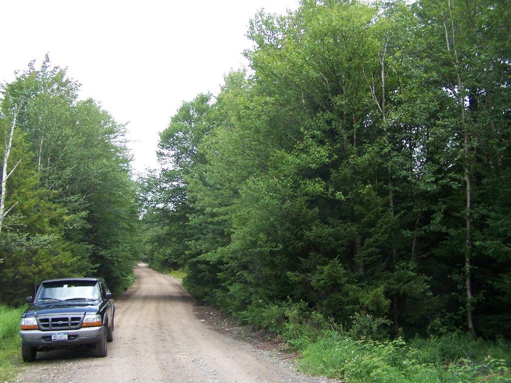 Photo: Parked Along Plains Road