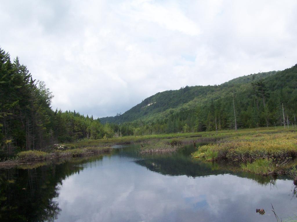 Photo: Towards Cellar Mountain
