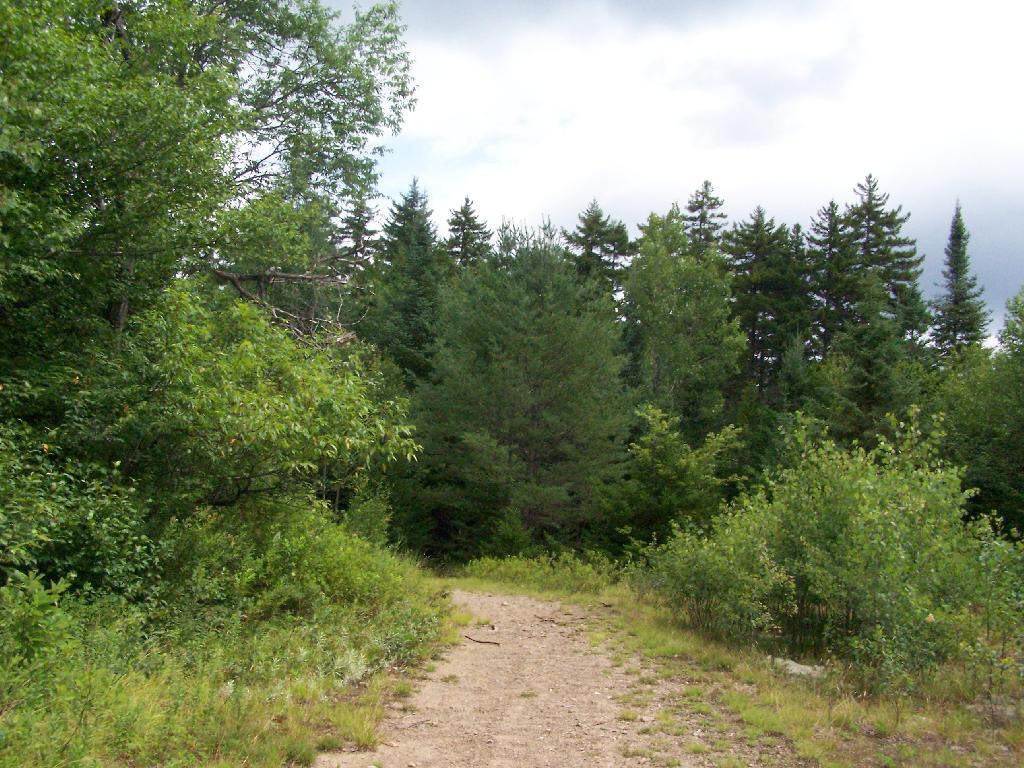 Photo: Road Off to Campsite