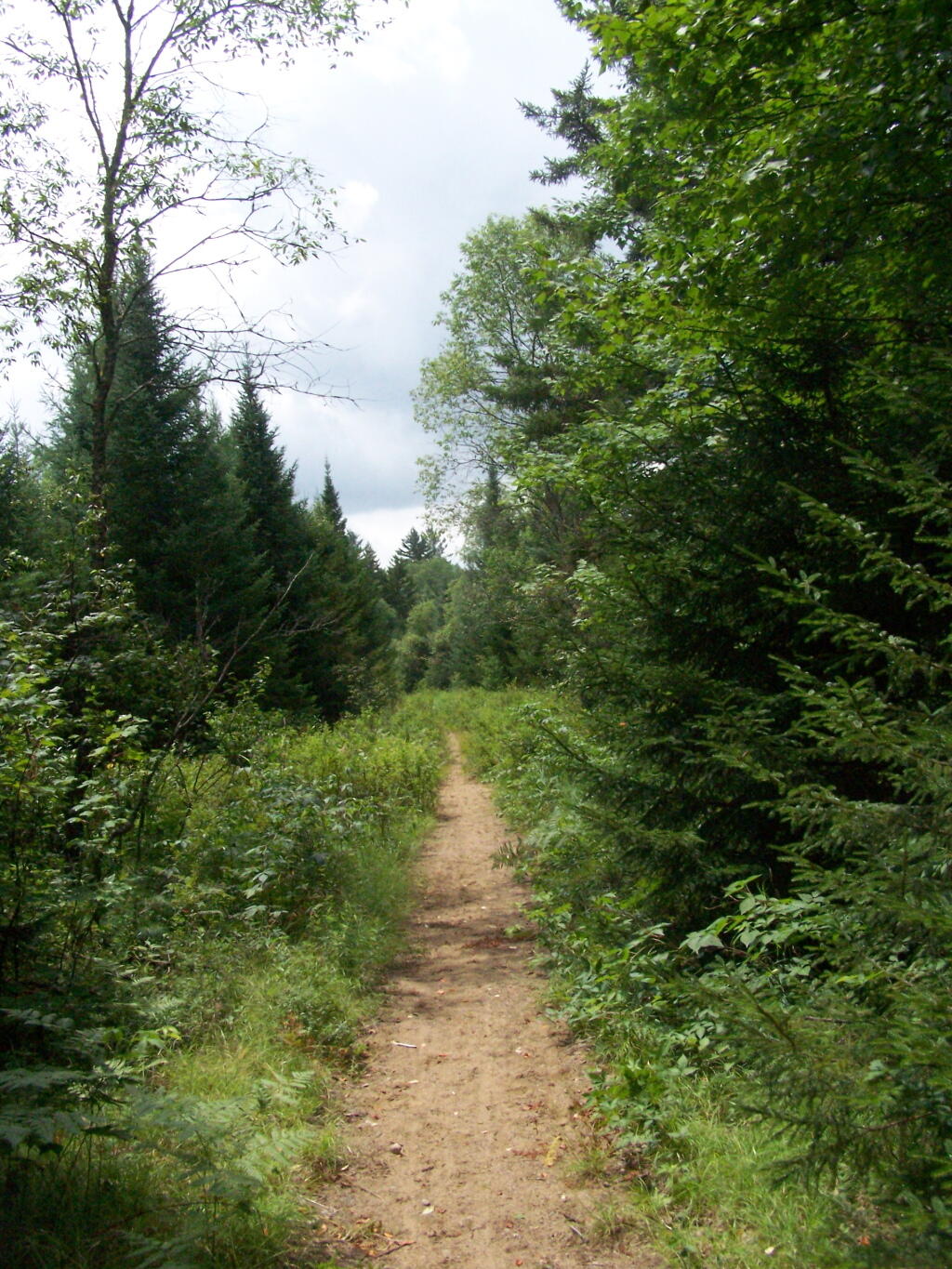 Photo: Lost Ponds Trail