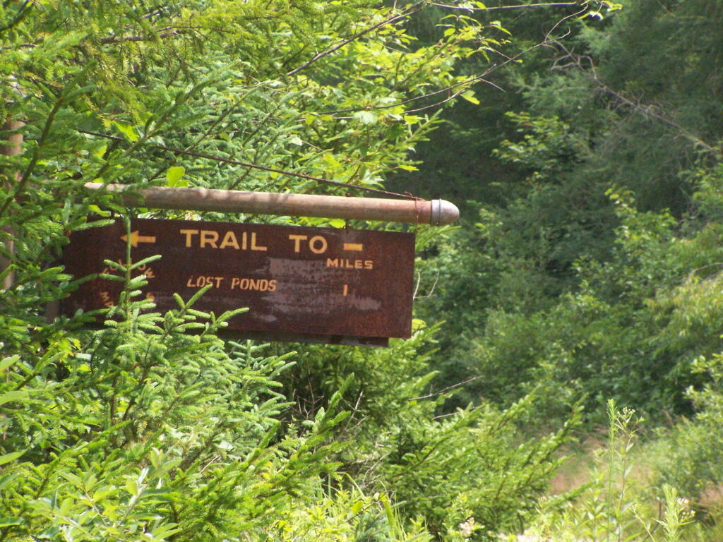 Photo: Trail to Lost Ponds