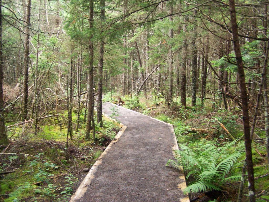 Photo: Helldiver Pond Trail