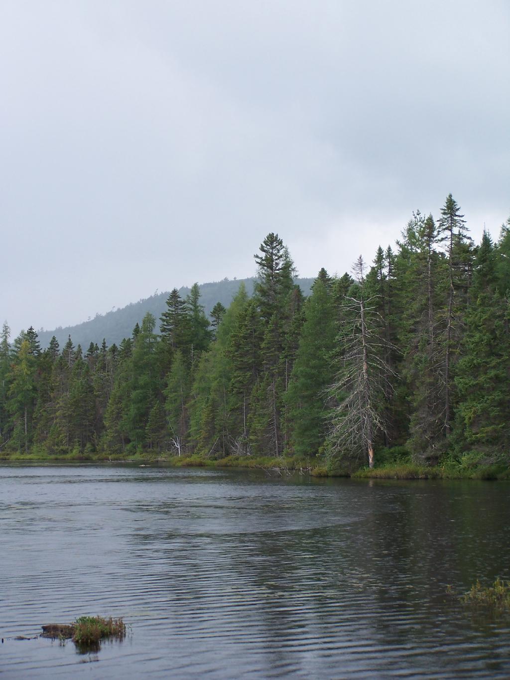 Photo: Rain at Helldiver Pond
