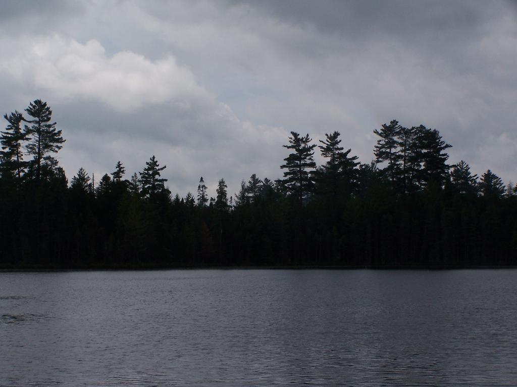 Photo: Trees at Helldiver Pond
