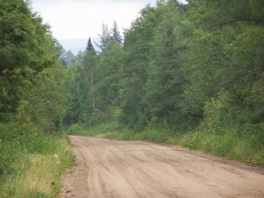 Photo: Sandy Plains