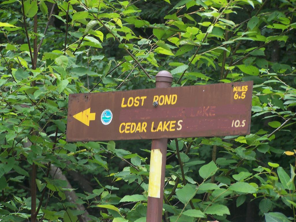 Photo: 6.5 Miles to Lost Pond