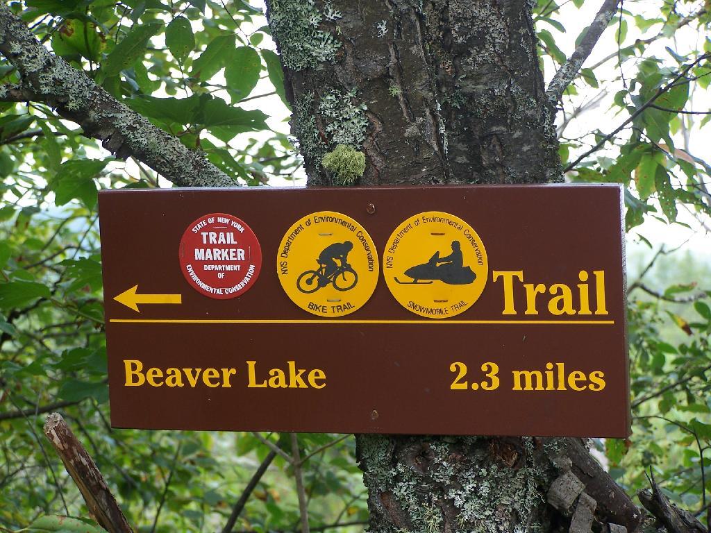 Photo: Beaver Lake Trail