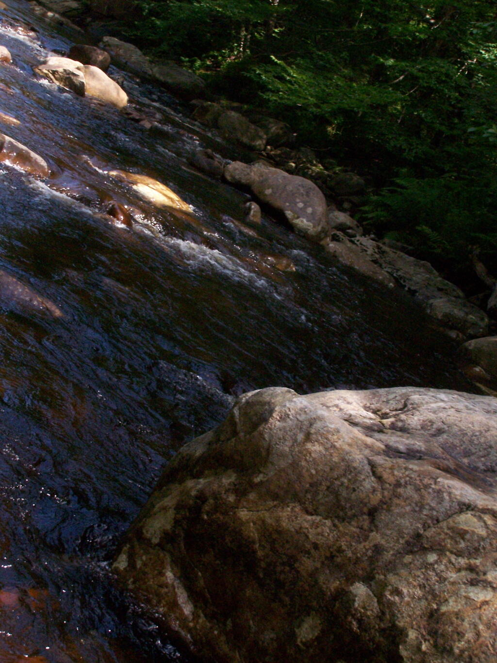 Photo: Otter Brook Looks Great for Swimming Photo: Otter Brook Looks Great for Swimming