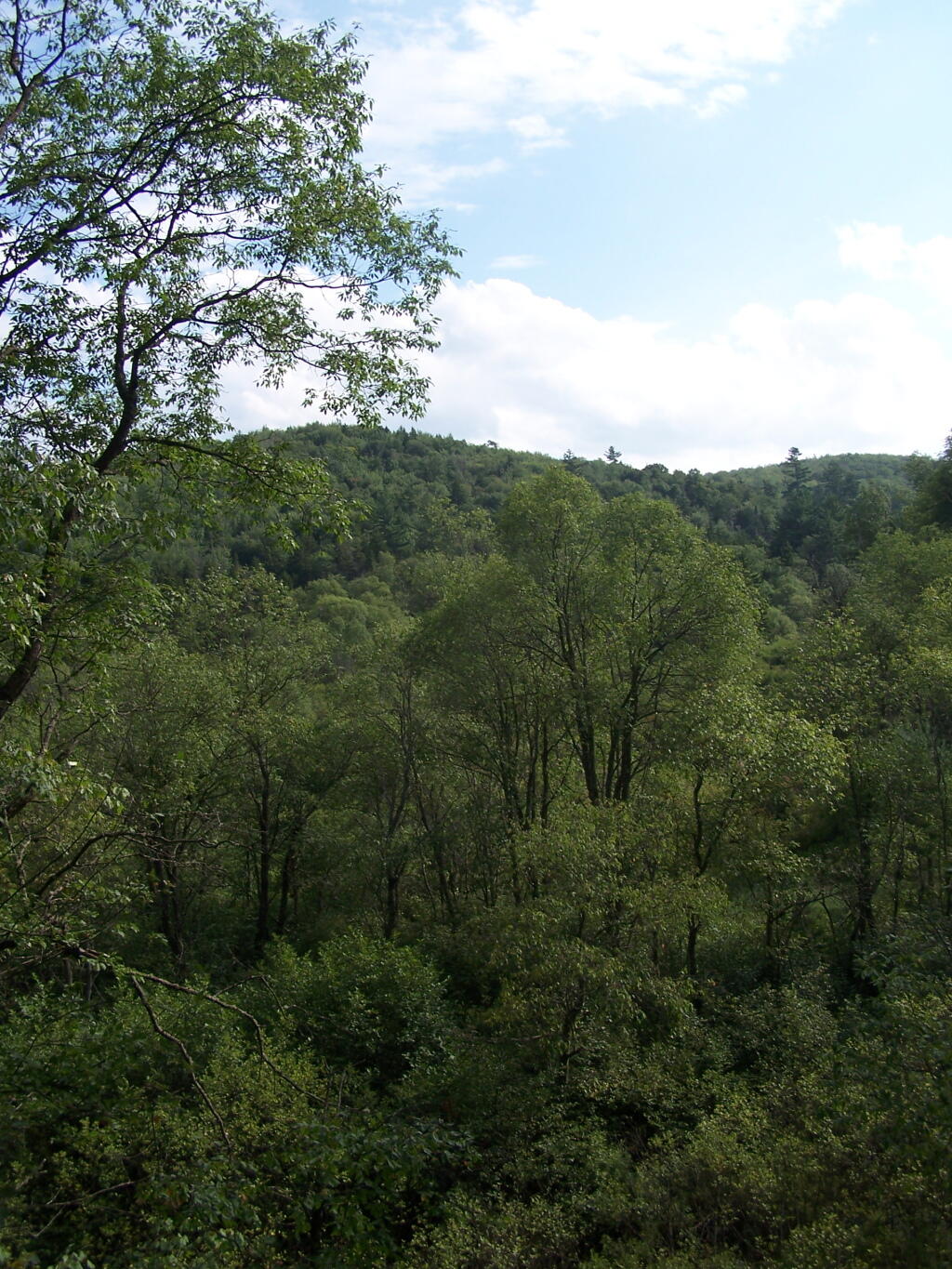 Photo: Valley Along Otter Brook