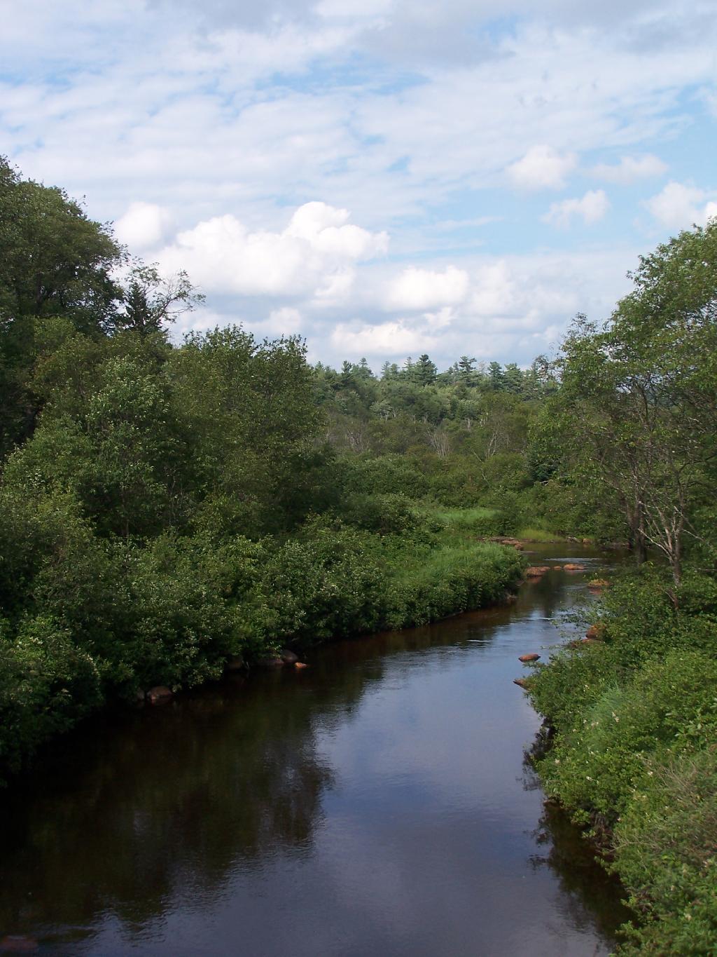 Photo: South Branch of the Moose River