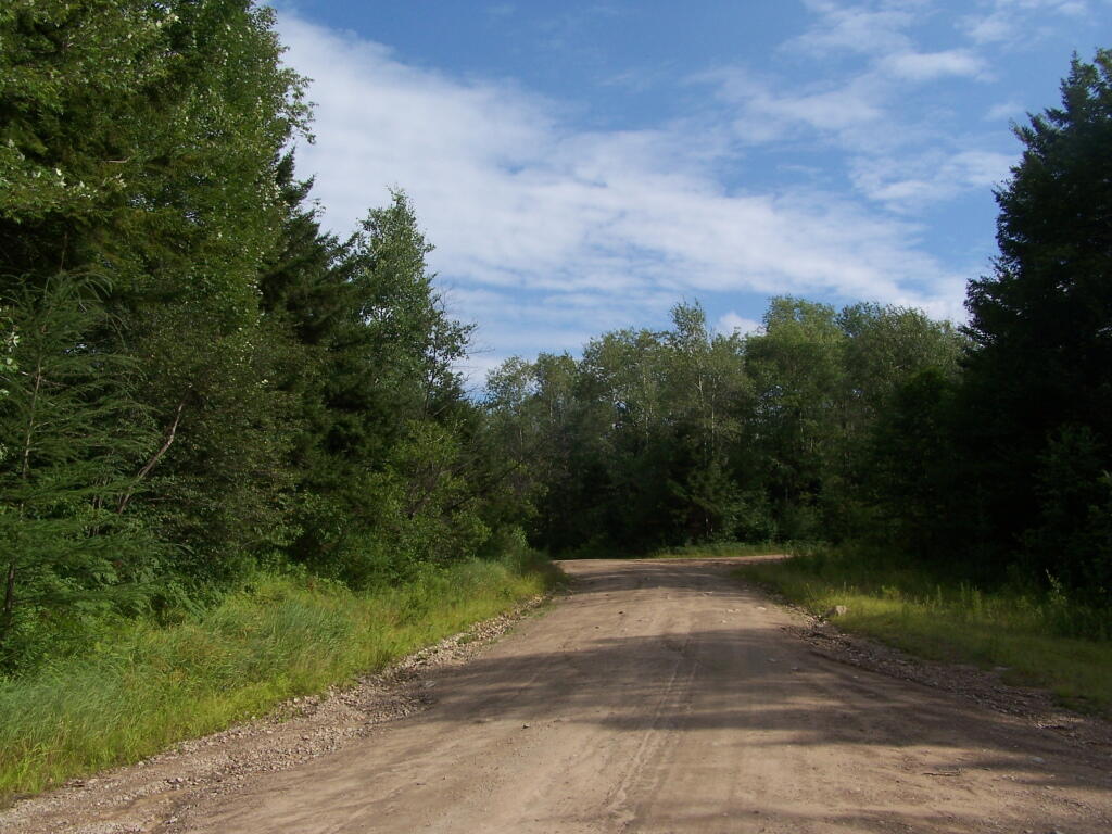 Photo: Otter Brook Road
