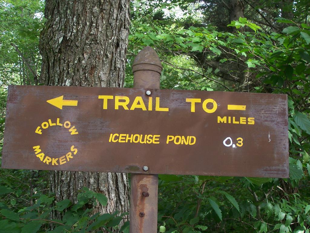 Photo: To Icehouse Pond