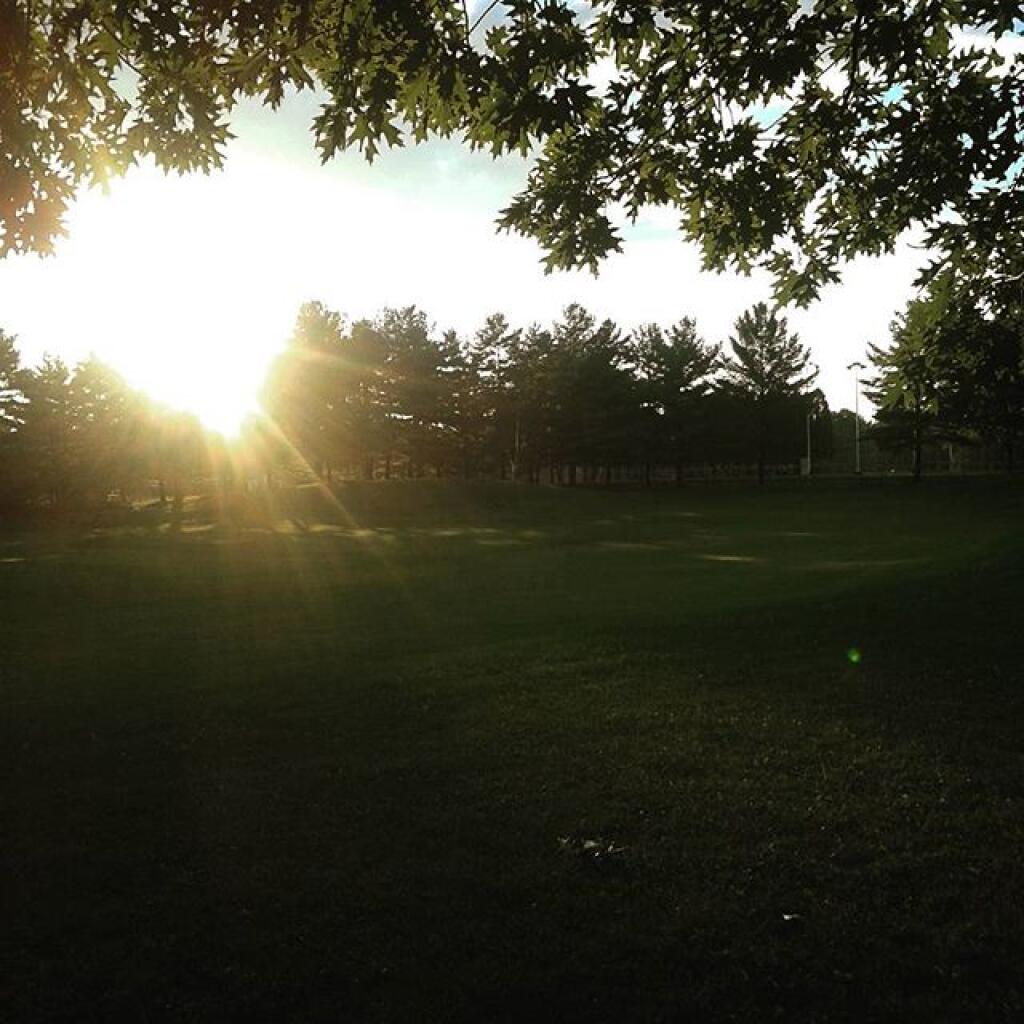 Photo: After the rain