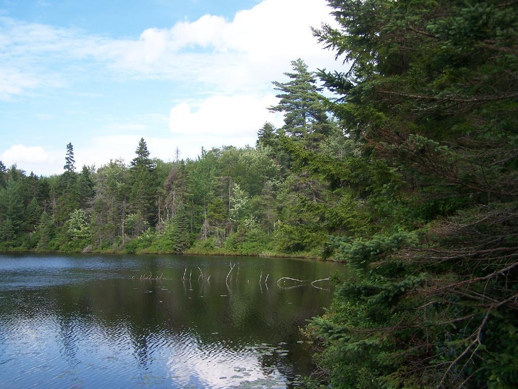 Photo: Icehouse Pond