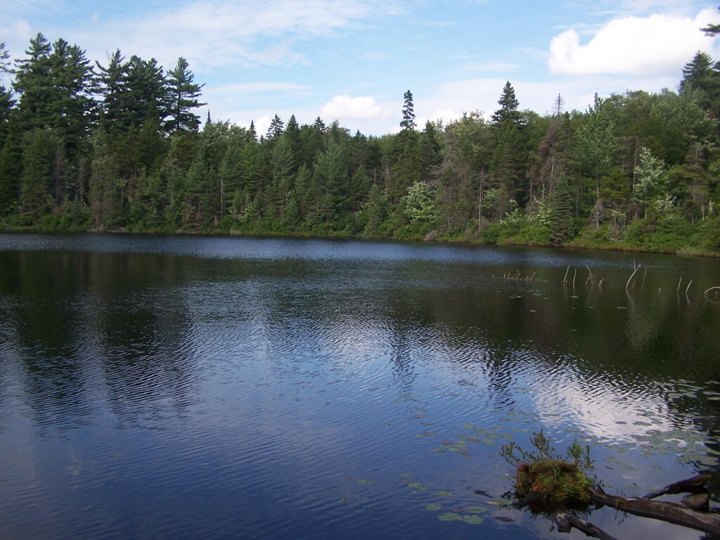 Photo: Icehouse Pond
