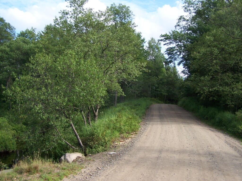 Photo: Otter Brook Road North of Big T Junction