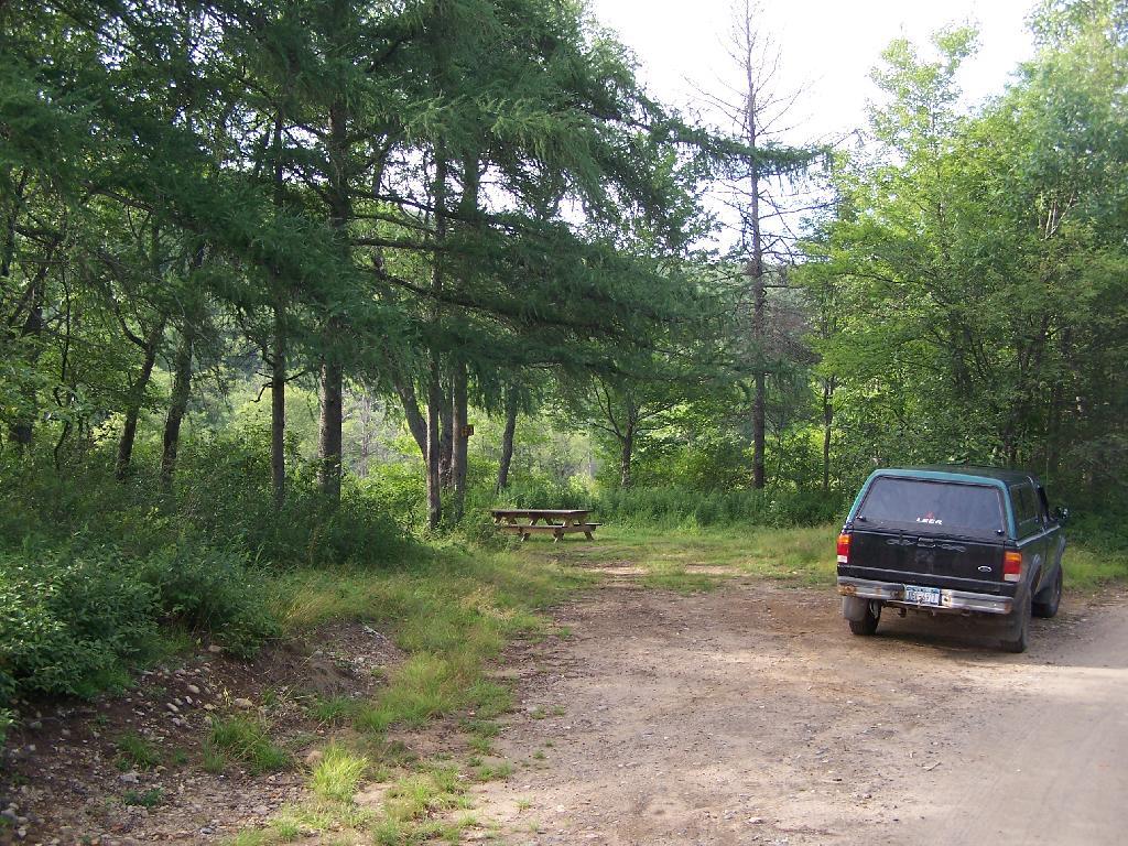Photo: Campsite Along Summer Stream