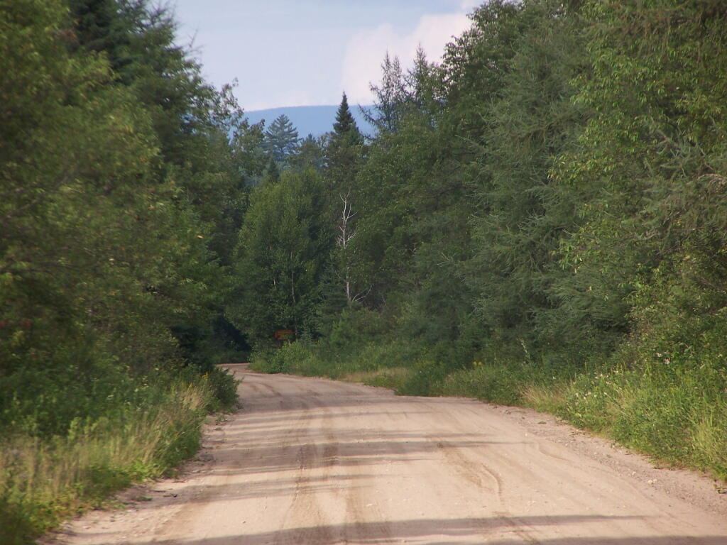 Photo: Plains Road