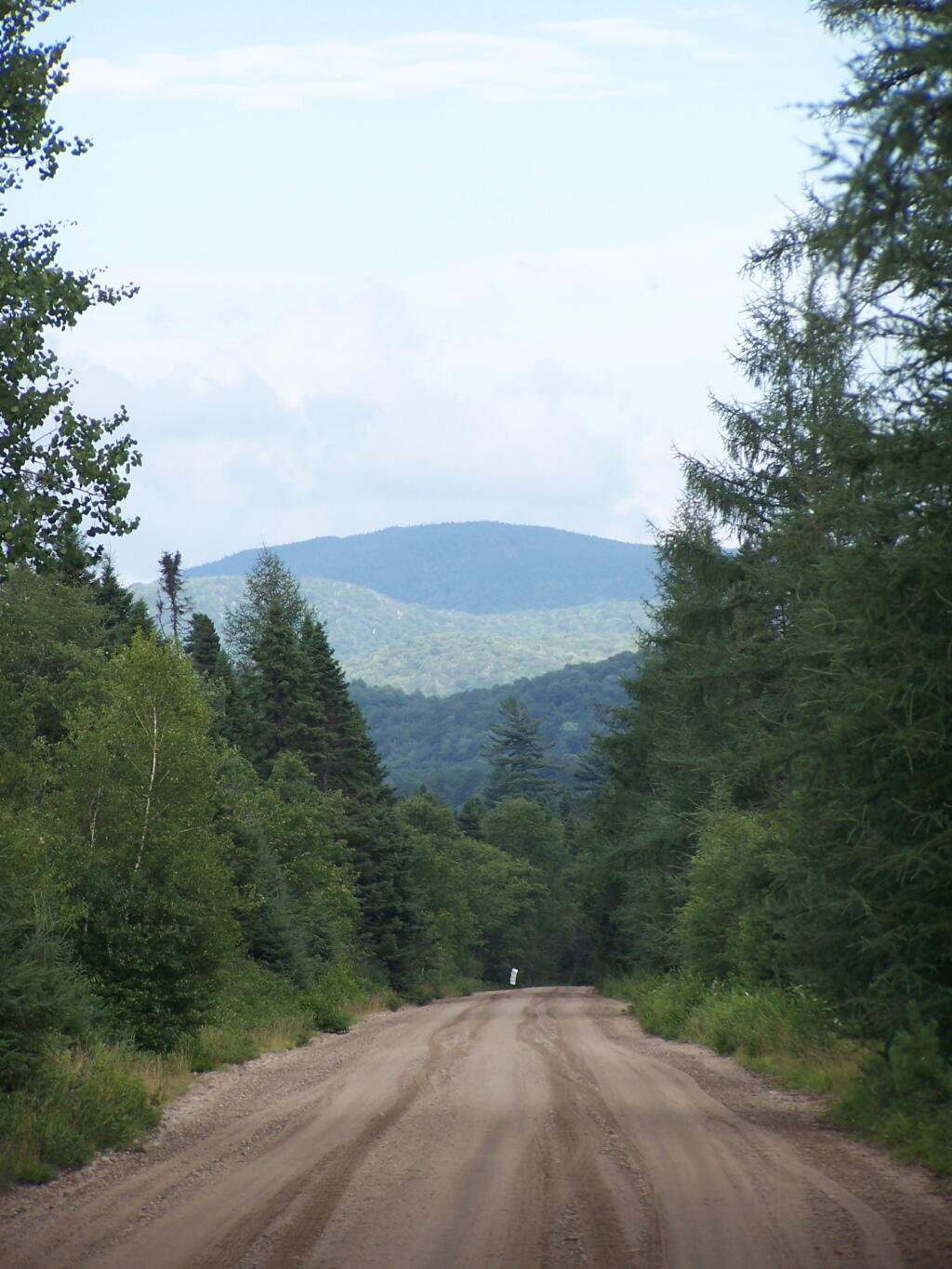 Photo: Cellar Mountain