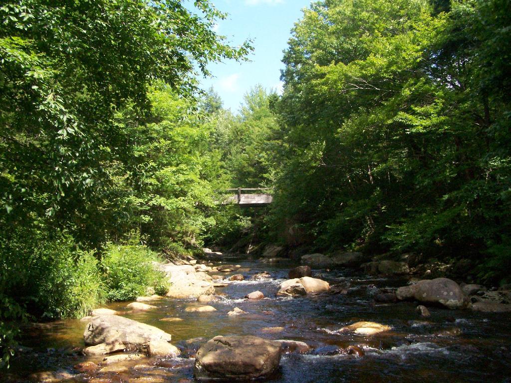 Photo: Otter Brook Photo: Otter Brook