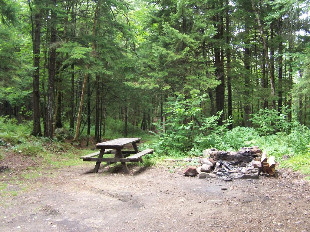 Photo: Campsite on Moose River Plains road Photo: Campsite on Moose River Plains road