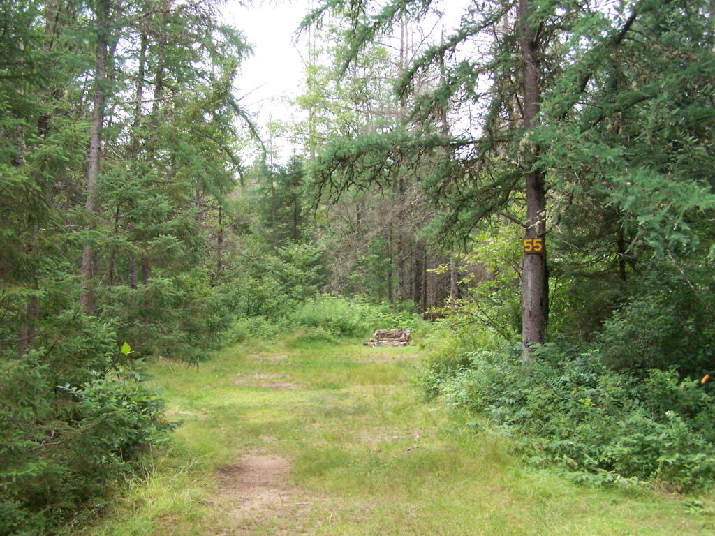 Photo: Campsite 55