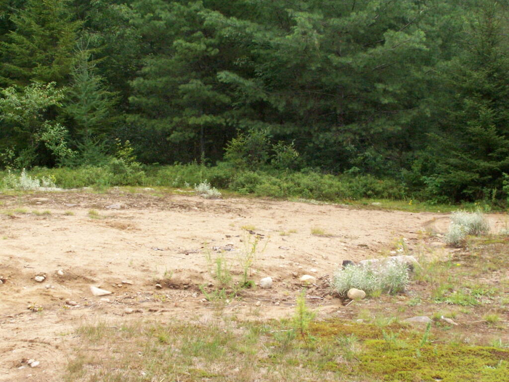 Photo: Disturbed Soils in Plains