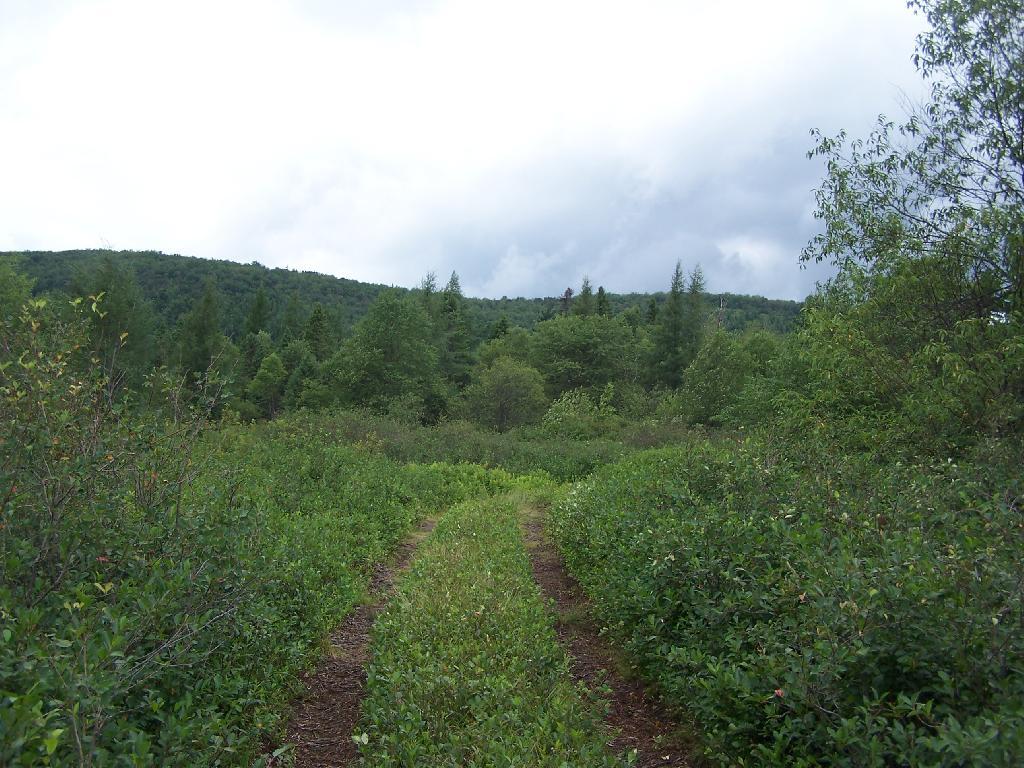 Photo: Truck Trail Through the Plains