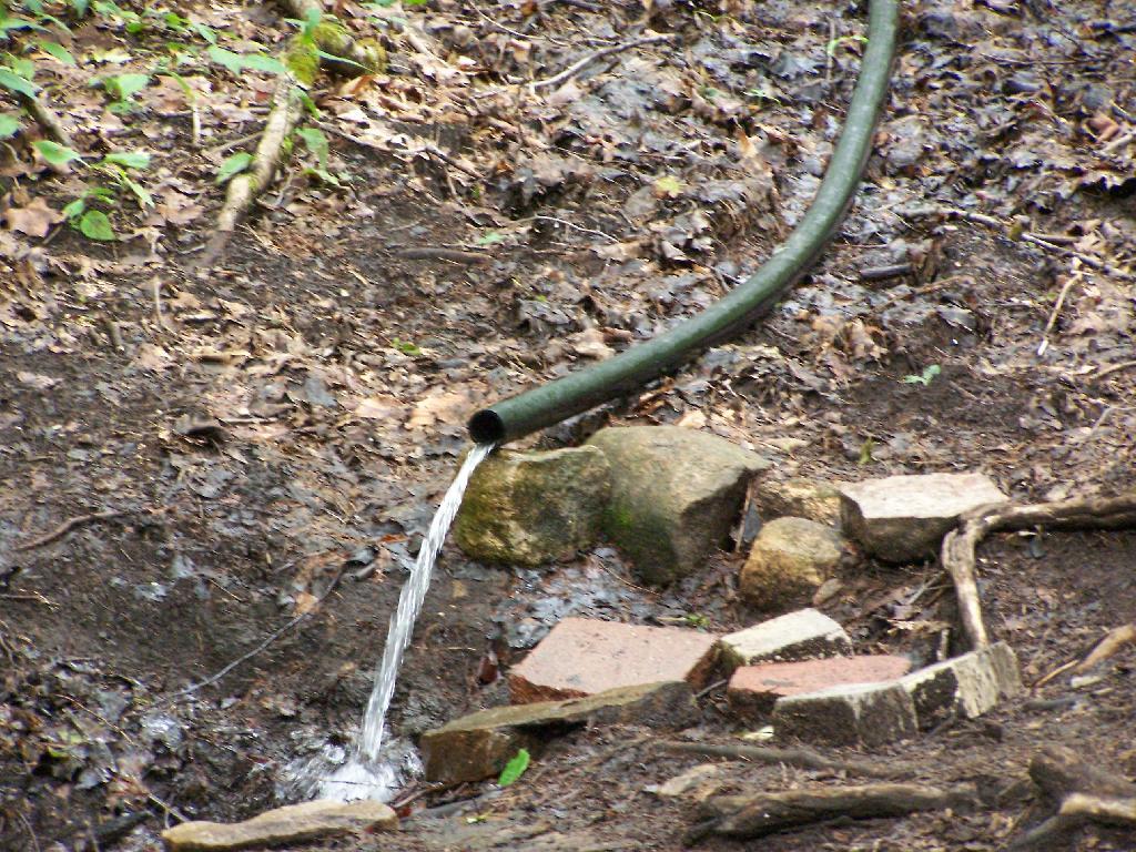 Photo: Spring at Campsite 77