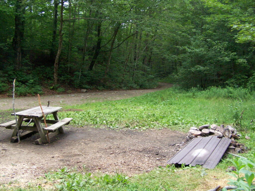 Photo: Campsite Off On a Loop