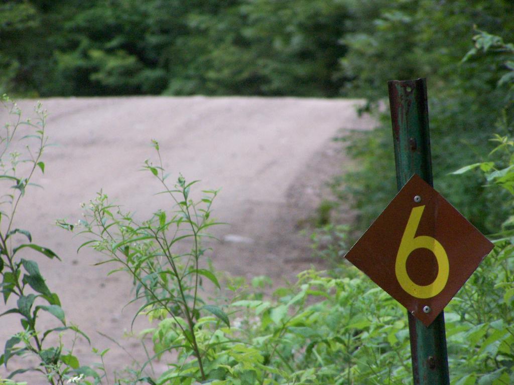 Photo: Milepost 6 on Plains Road