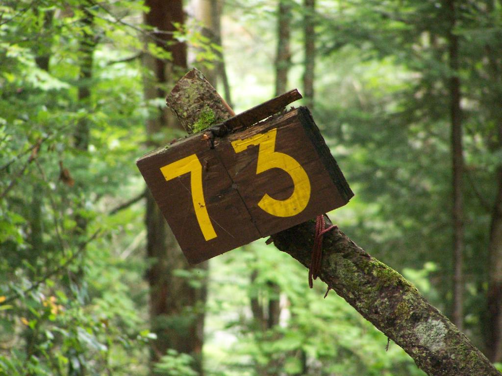 Photo: Site 73