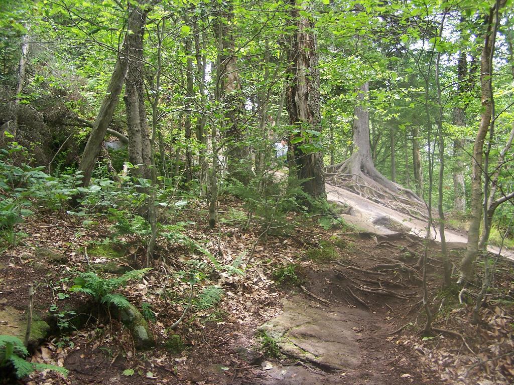 Photo: Hiking Up Bald Mountain Photo: Hiking Up Bald Mountain