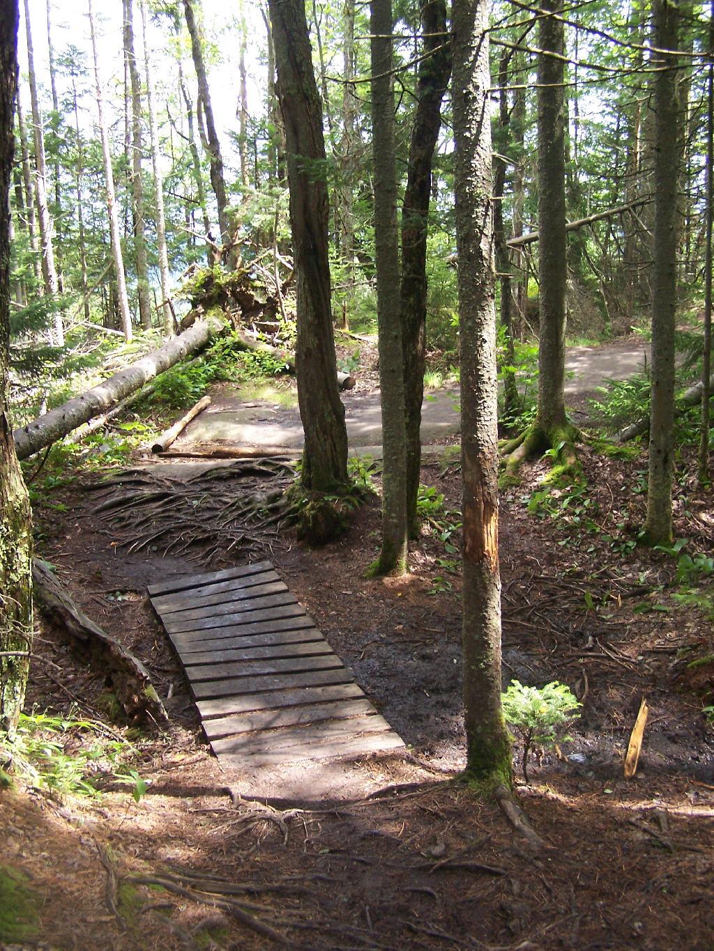 Photo: Foot Bridge Photo: Foot Bridge