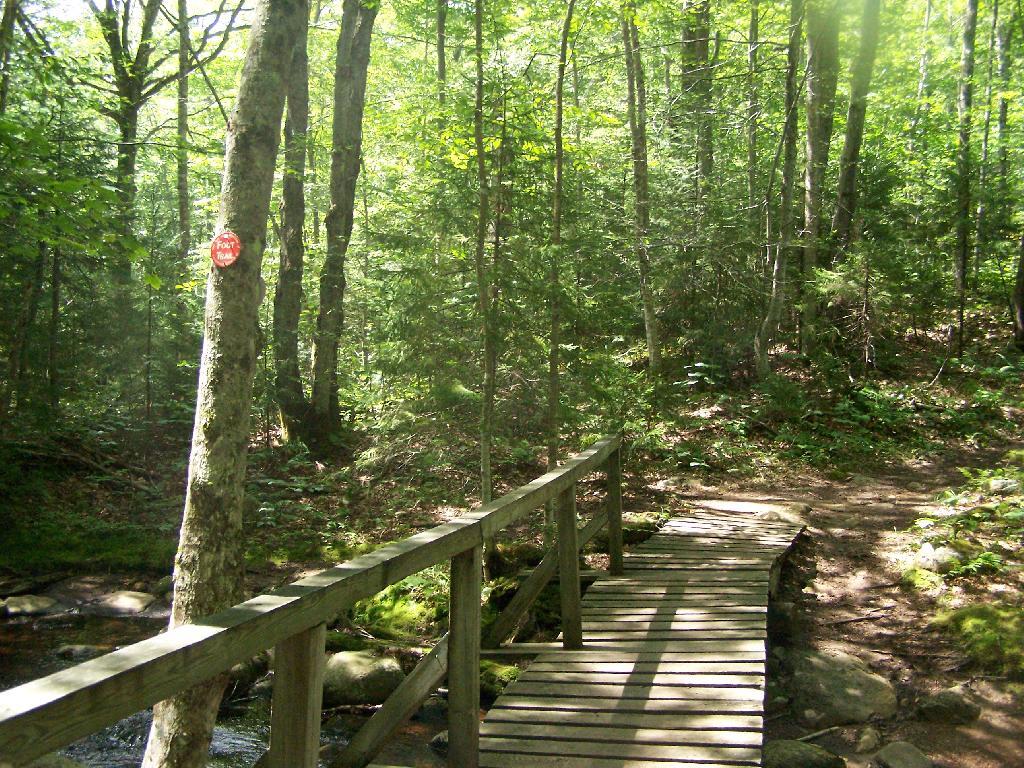 Photo: Hiking Bridge Across Miami River