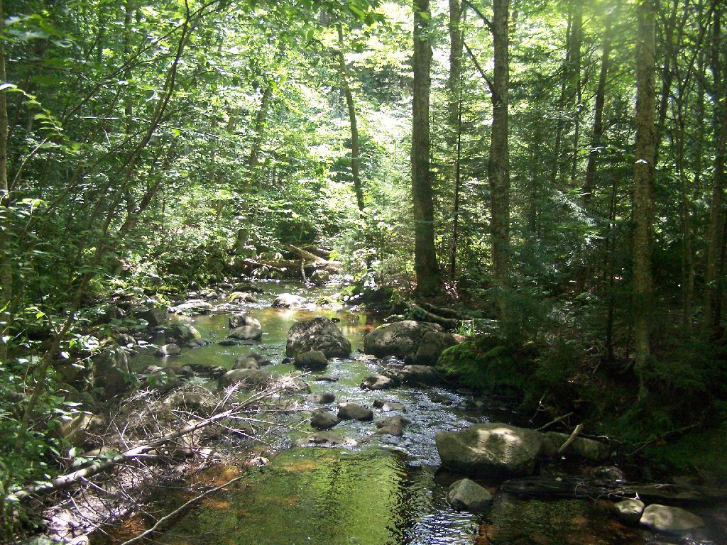Photo: Miami River Photo: Miami River