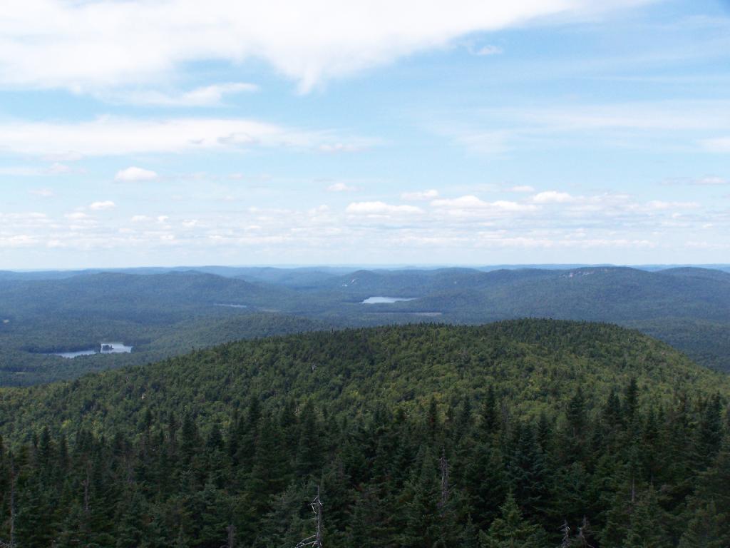 Photo: Moose River Plans and West Canada Creek Wilderness